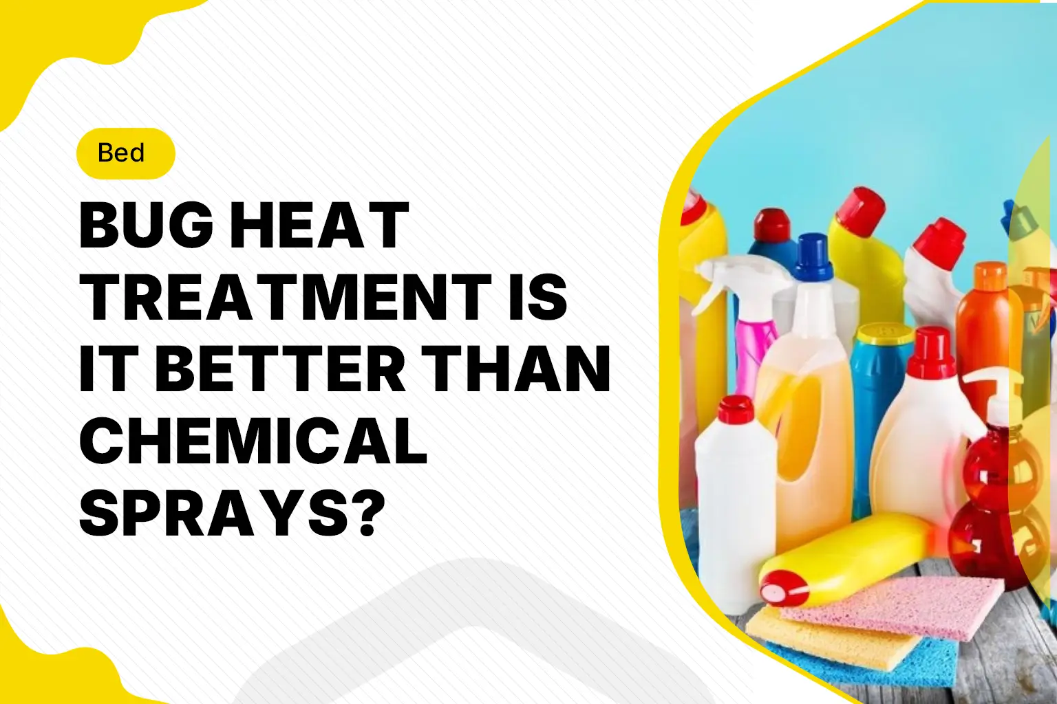 Bed bug heat treatment vs chemical sprays comparison for effective pest control solutions at home