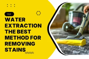Hot Water Extraction: The Best Method for Removing Stains